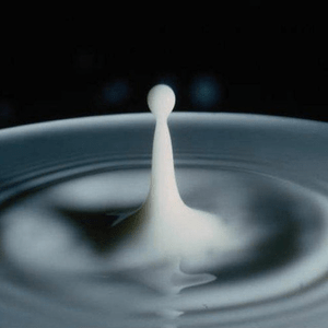 Logo von milkdrop