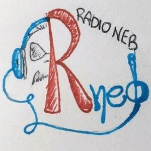 Logo di Radioneb