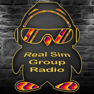 real-sim-group logo