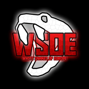 Logotipo de wsoe