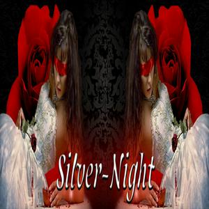 Silver-Night logo